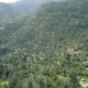 Expect exclusive Flora and Fauna around A Kasauli Ggaon